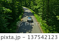 Silver sedan car driving on a narrow asphalt road through a dense green deciduous forest with sunlight filtering through the trees, top drone view. Concept of a peaceful road trip 137542123