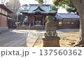 影片：日本傳統神社及禮拜殿 | 獅犬守護的莊嚴肅穆的場景 137560362