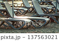 Row of empty sun beds on sandy beach, bathed in soft early morning light, resort beach chairs await guests at dawn before day begins, nobody. Vacation spot ready for relaxation 137563021