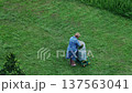 Senior woman collecting mowed grass into bag on wheeled trolley from green lawn during day, high angle aerial view of gardening activity. 137563041