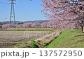 Kitaizumi Sakuragaya Park 137572950