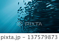Fast Schooling Fish Underwater Blue Ocean, 3D Animation of Sardine Run Bait Ball 137579873