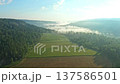 Morning mist enveloping a serene green valley at dawn 137586501