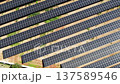 Slow top down aerial tracking shot of solar panel rows 137589546