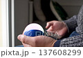 Smart home automation, connected devices to control heating, lighting, door opening, surveillance 137608299