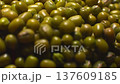 Close-up sequence of green mung beans showcasing their texture and color variations on a surface, highlighting the natural beauty of these legumes in a detailed view 137609185