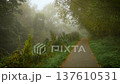 Fog covering quiet forest path along river creating peaceful mood. Thick mist floating over silent landscape creating dreamy mystical mood. Haze enveloping tranquil woodland trail beside water forming 137610531