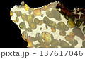 Chondrite Meteorite on black background, close up macro video. Meteorite closeup video. Meteor macro surface 137617046