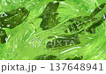 Serum gel texture with aloe vera leaf slices, green transparent cream background 137648941