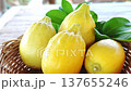 Yellow lemons in a basket. 137655246