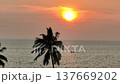 A tranquil sunset glows orange over the ocean with boats, view behind the palm trees. Ko Pha Ngan, Thailand. 137669202