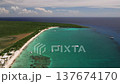 Aerial view of nice caribbean tropical island with palms and turquoise water 137674170