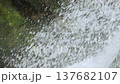 Slow-motion footage of waterfall spray hitting rocks, usable as a background (06) 137682107