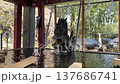清水龍 137686741