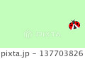 一段瓢蟲飛走的動畫影片。 137703826