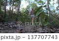 Full Shot Back View of a hiker with colored hair moving away into the woods. The low angle emphasizes the height of the surrounding trees. 137707743