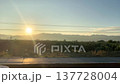 Sunrise casts golden light over olive trees and mountains in Turkey, creating a tranquil morning scene with soft shadows and vibrant colors 137728004