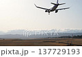 Sendai Airport at dusk, airplane landing, Natori City, Miyagi Prefecture 137729193