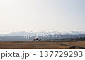 Sendai Airport at dusk, airplane taking off, Natori City, Miyagi Prefecture 137729293