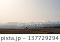 Sendai Airport at dusk, airplane taking off, Natori City, Miyagi Prefecture 137729294