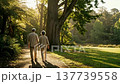 A senior couple walking in a park (health, travel, happiness) 137739558