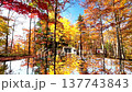 Autumn Air Shrine [Asahi Town, Yamagata Prefecture] 137743843