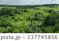 Drone view of countryside. Fields and forests in summer.  137745856