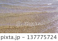 Calm, clear ocean water waves gently washing over a sunny sandy beach. Crystal transparent sea surface with ripples and sun glare creating a peaceful and relaxing natural background 137775724