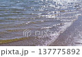 Calm, gentle waves rolling onto a sunlit sandy shore, with the glistening water reflecting the bright sunlight, creating a peaceful and serene natural background of a beautiful coastline 137775892