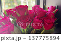 Exquisite bouquet of vibrant red roses sitting in soft, natural light by a window, showcasing the delicate petals and rich color, symbolizing love, romance, and special occasions 137775894