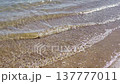 Calm, transparent sea waves slowly washing over a serene sandy beach on a sunny day, with sunlight glistening on the water surface, creating a peaceful and relaxing natural background 137777011