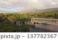 Aerial drone footage featuring a bridge crossing Etang de Saint-Paul Reunion Island. Small, non-identifiable people such as walkers and a runner are visible on the bridge. 137782367