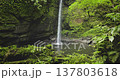 Tropical jungle waterfall flowing into a deep natural pool, surrounded by vibrant green moss, lush foliage, and ancient rock formations, creating a tranquil and untouched natural environment Tropical jungle waterfall flowing into a deep natural pool, surrounded by vibrant green moss, lush foliage, and ancient rock formations, creating a tranquil and untouched natural environment 137803618