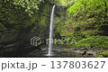 Tropical jungle waterfall descending from a moss-covered cliff into a dark pool, surrounded by lush green foliage and vibrant vegetation rainforest, creating a serene and peaceful natural landscape Tropical jungle waterfall descending from a moss-covered cliff into a dark pool, surrounded by lush green foliage and vibrant vegetation rainforest, creating a serene and peaceful natural landscape 137803627