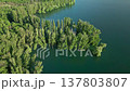 Aerial view of green lush trees submerged in deep blue lake water. Beautiful nature landscape scene with water forest for travel and ecology concept.  137803807