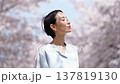 満開の桜と女性　スローモーション 137819130