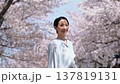 満開の桜と女性　スローモーション 137819131