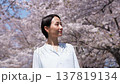 満開の桜と女性　桜吹雪　スローモーション 137819134