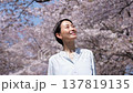 満開の桜と女性　桜吹雪　スローモーション 137819135