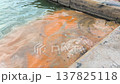 Orange water at the dock shows signs of pollution in a coastal area. 137825118
