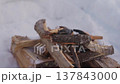 Close View of Campfire Burning Wood in Snow Shelter 137843000