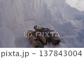 Campfire Burning Among Snow Walls 137843004