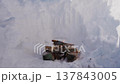 Smoking Campfire Burning in Deep Snow Pit 137843005
