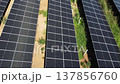 Low altitude aerial tracking shot of solar panel rows 137856760