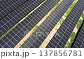 Top down aerial tracking shot over solar panel rows 137856781