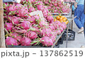 Dragon fruits arranged on a market counter for sale where bright fruits are placed together among 137862519