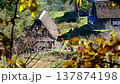 Gokayama Gassho-zukuri Village Ainokura: A World Heritage Site in the Season of Fresh Greenery 137874198