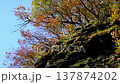 The spring green of the slopes 137874202