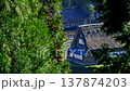 Gokayama Gassho-zukuri Village Ainokura: A World Heritage Site in the Season of Fresh Greenery 137874203