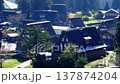 Gokayama Gassho-zukuri Village Ainokura: A World Heritage Site in the Season of Fresh Greenery 137874204